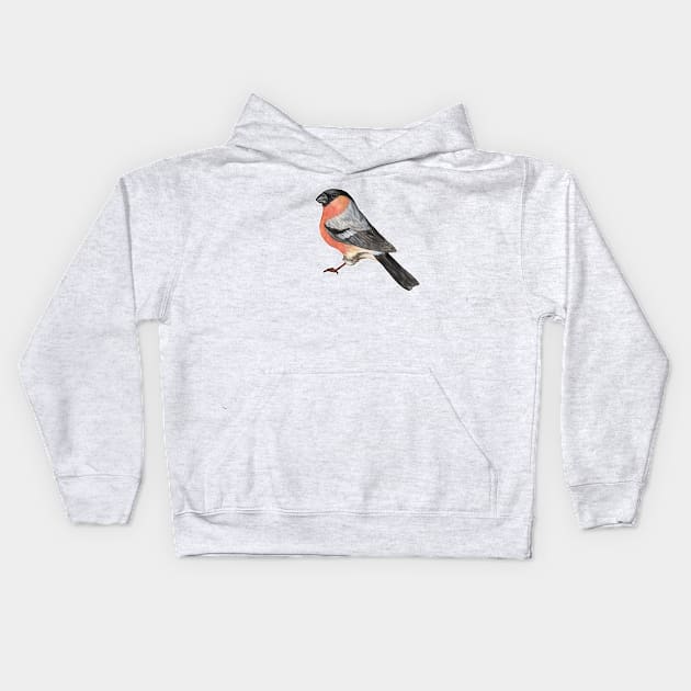 Eurasian bullfinch bird Kids Hoodie by Savousepate